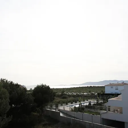 Pastilla Ii